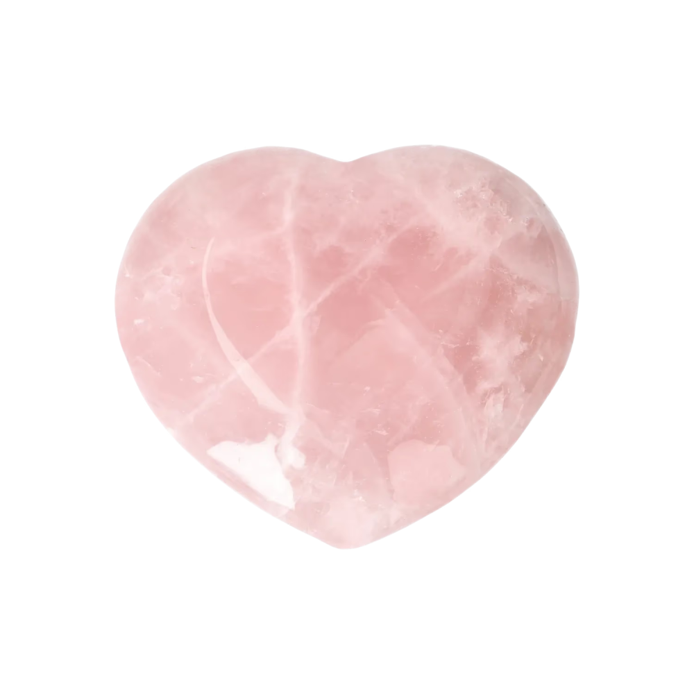 orbitvu|type:image2d