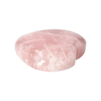 orbitvu|type:image2d