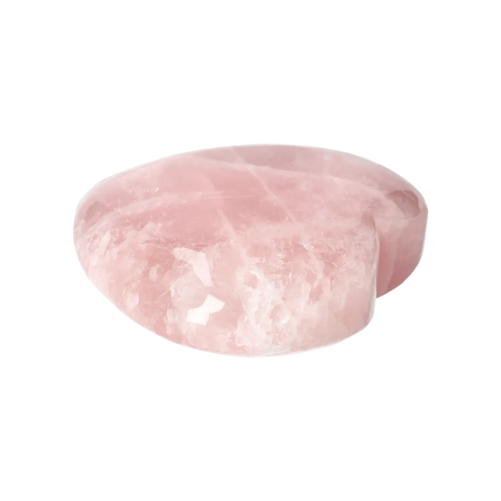 orbitvu|type:image2d
