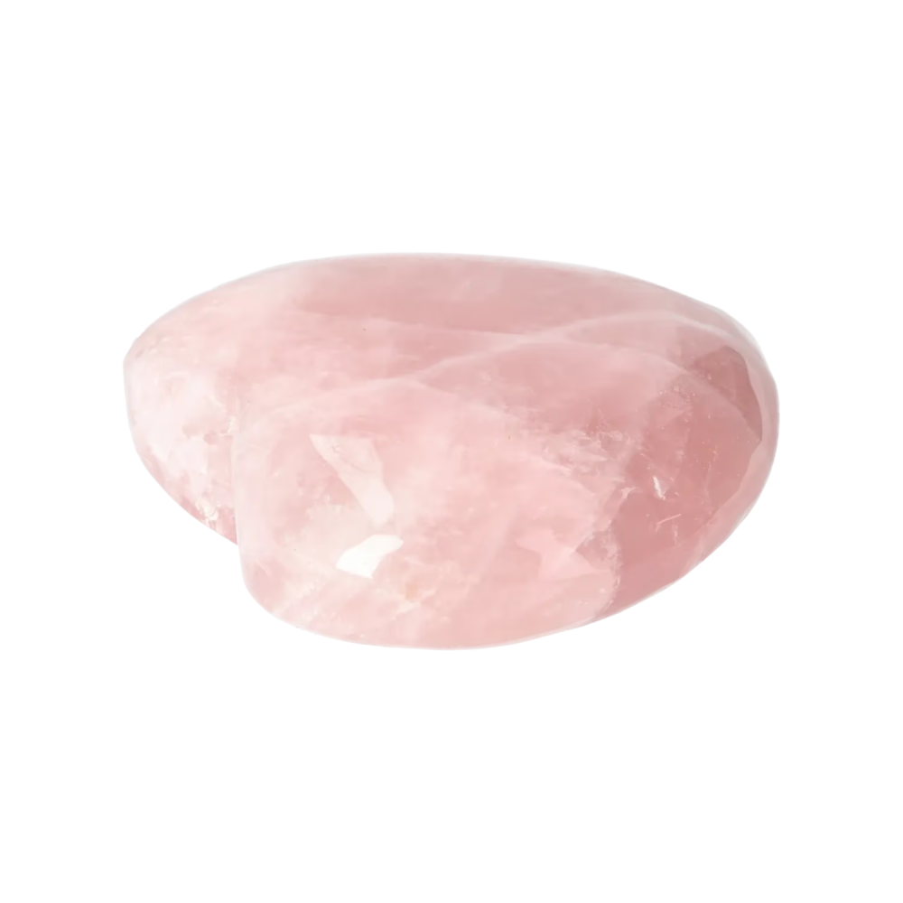 orbitvu|type:image2d