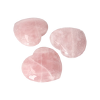 orbitvu|type:image2d