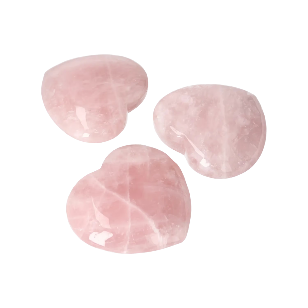 orbitvu|type:image2d