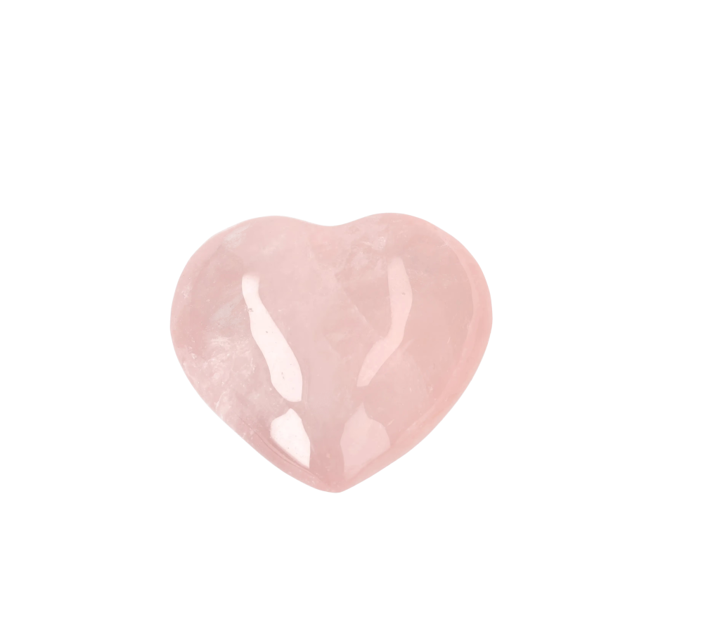 orbitvu|type:image2d