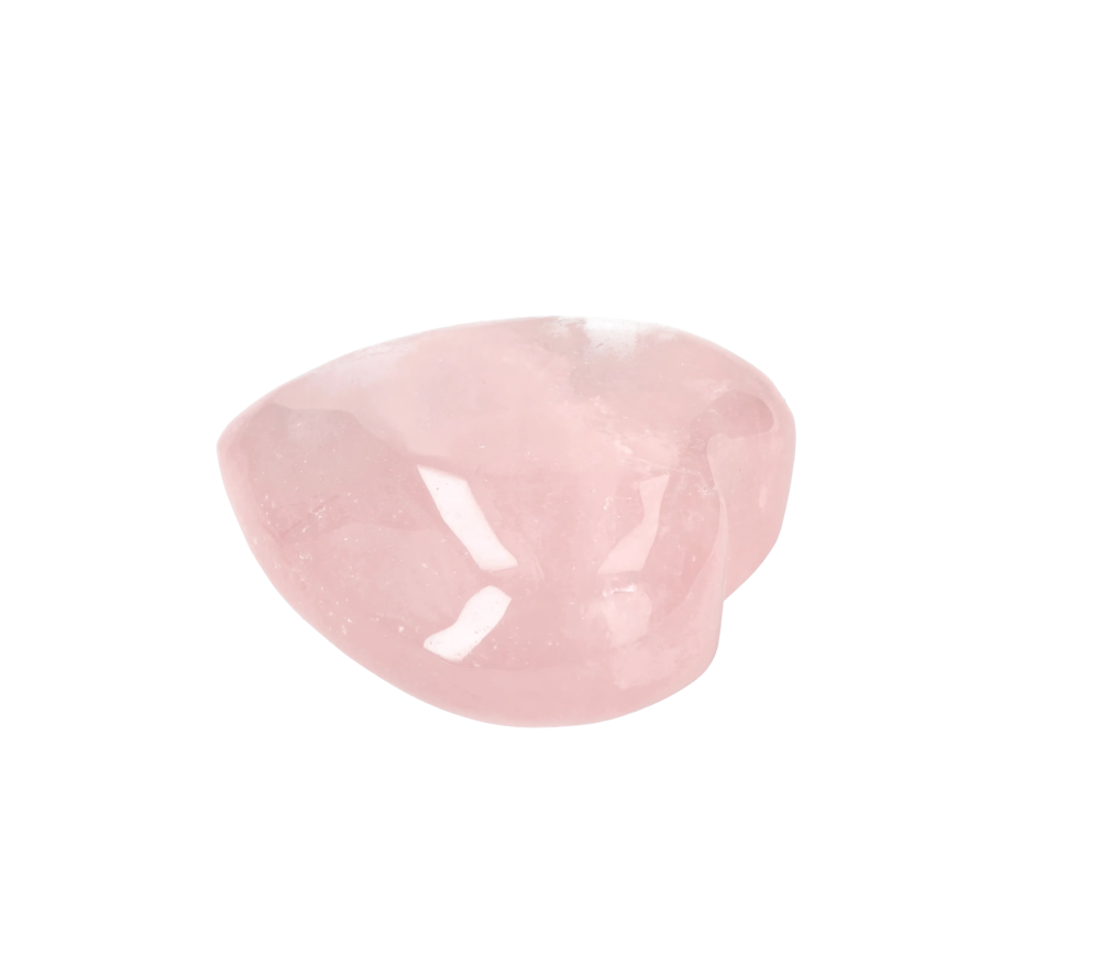 orbitvu|type:image2d