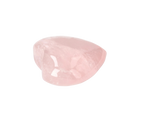 orbitvu|type:image2d