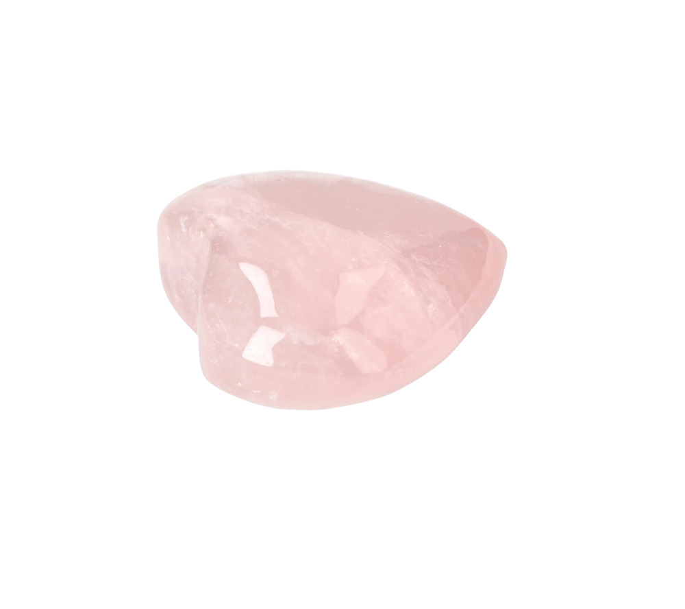 orbitvu|type:image2d