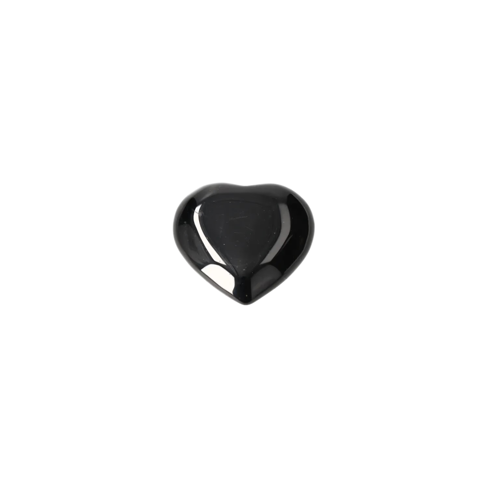 orbitvu|type:image2d
