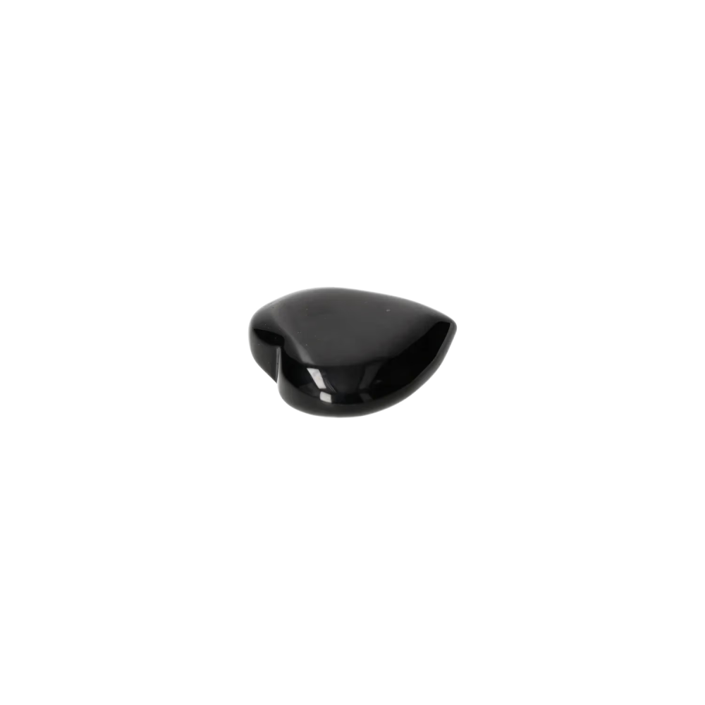 orbitvu|type:image2d