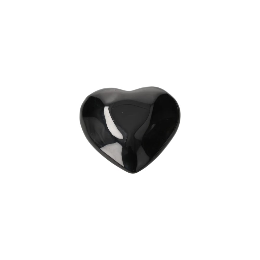 orbitvu|type:image2d