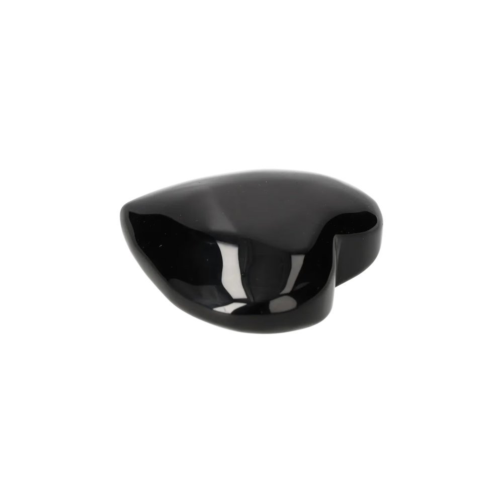 orbitvu|type:image2d