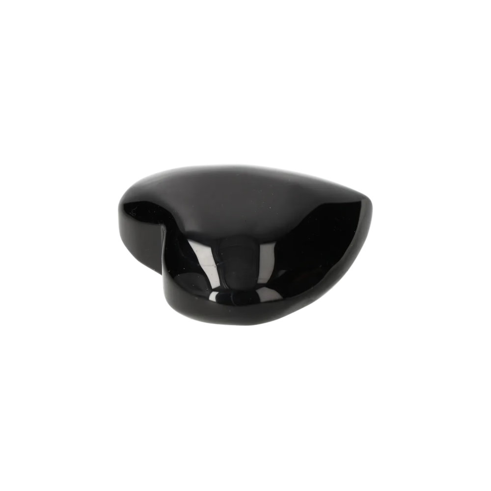 orbitvu|type:image2d