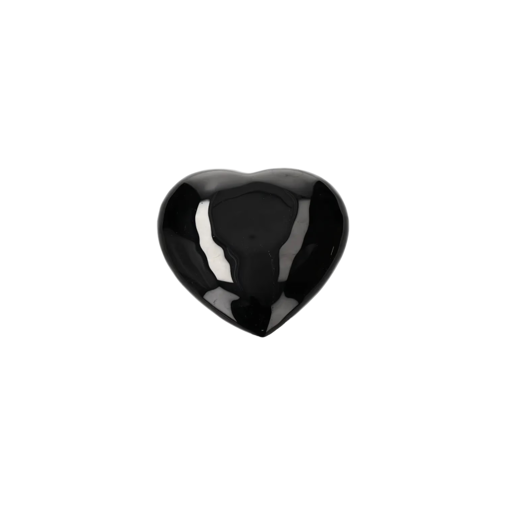orbitvu|type:image2d