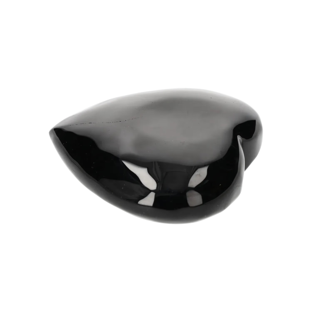 orbitvu|type:image2d