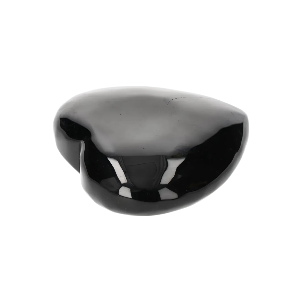 orbitvu|type:image2d