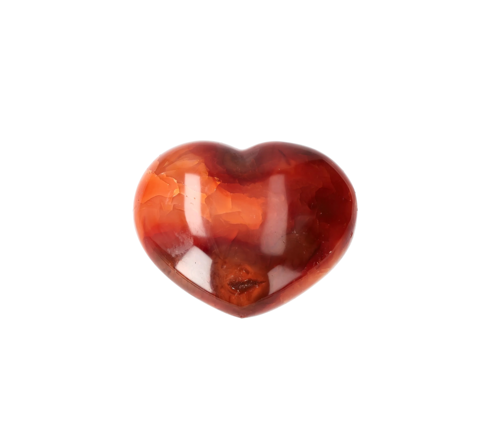 orbitvu|type:image2d