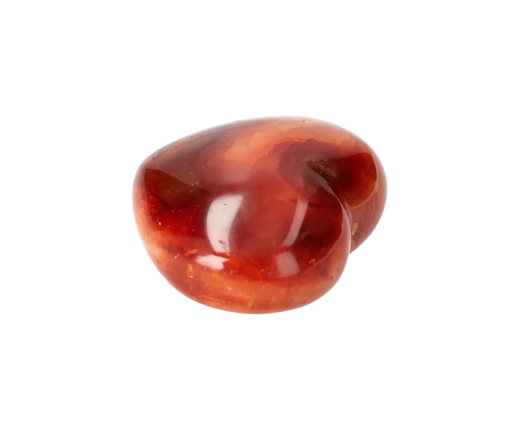 orbitvu|type:image2d