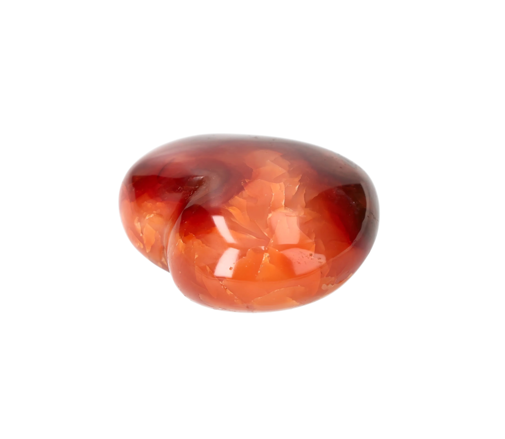orbitvu|type:image2d