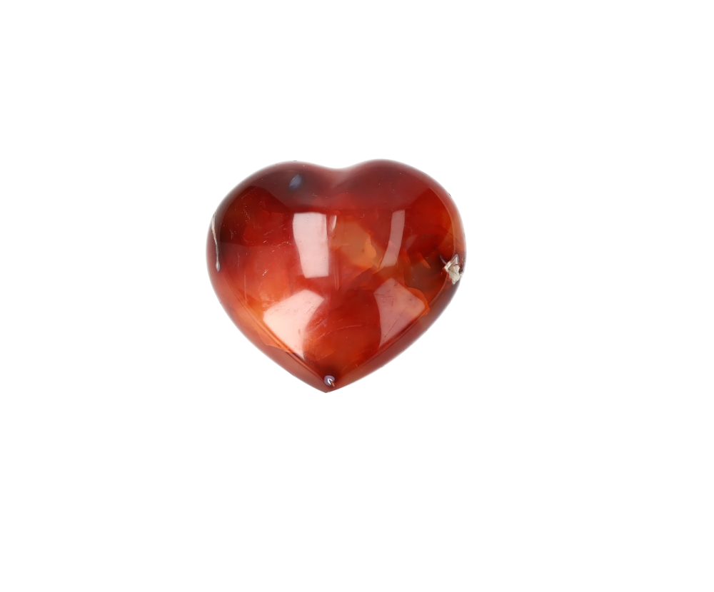orbitvu|type:image2d