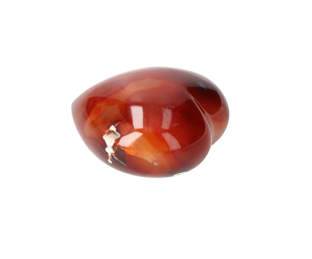 orbitvu|type:image2d