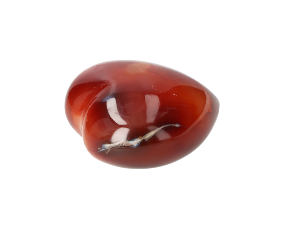 orbitvu|type:image2d