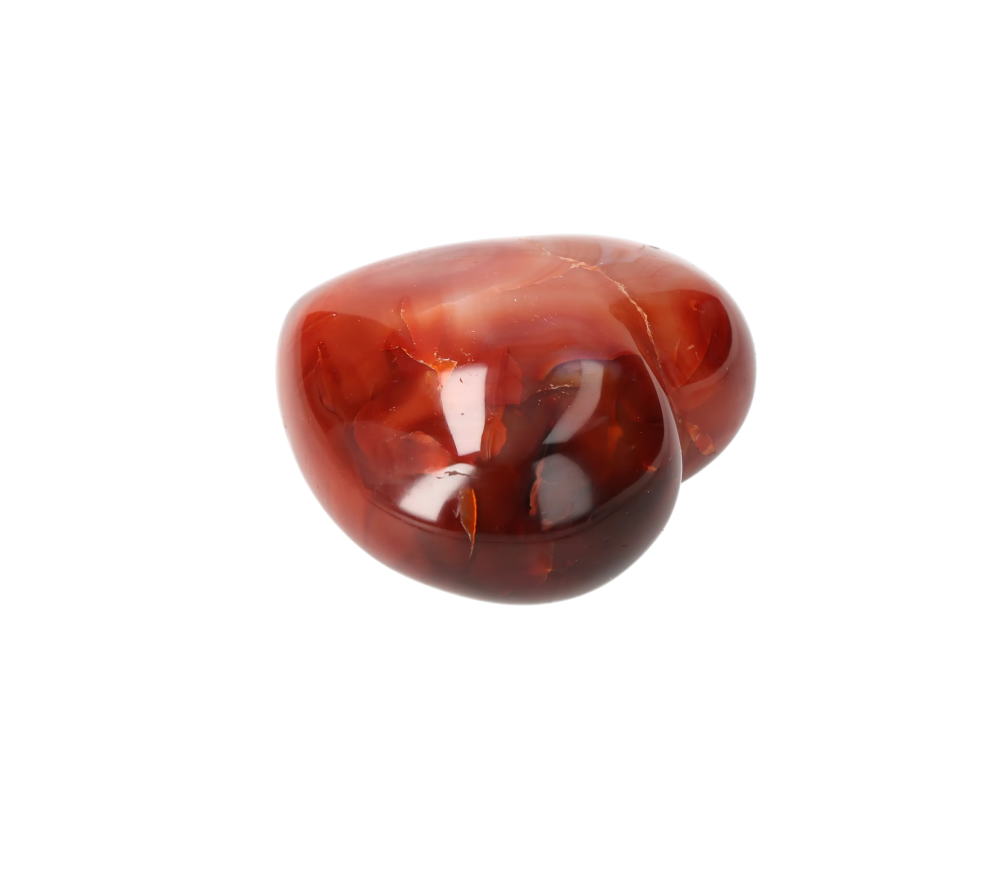 orbitvu|type:image2d