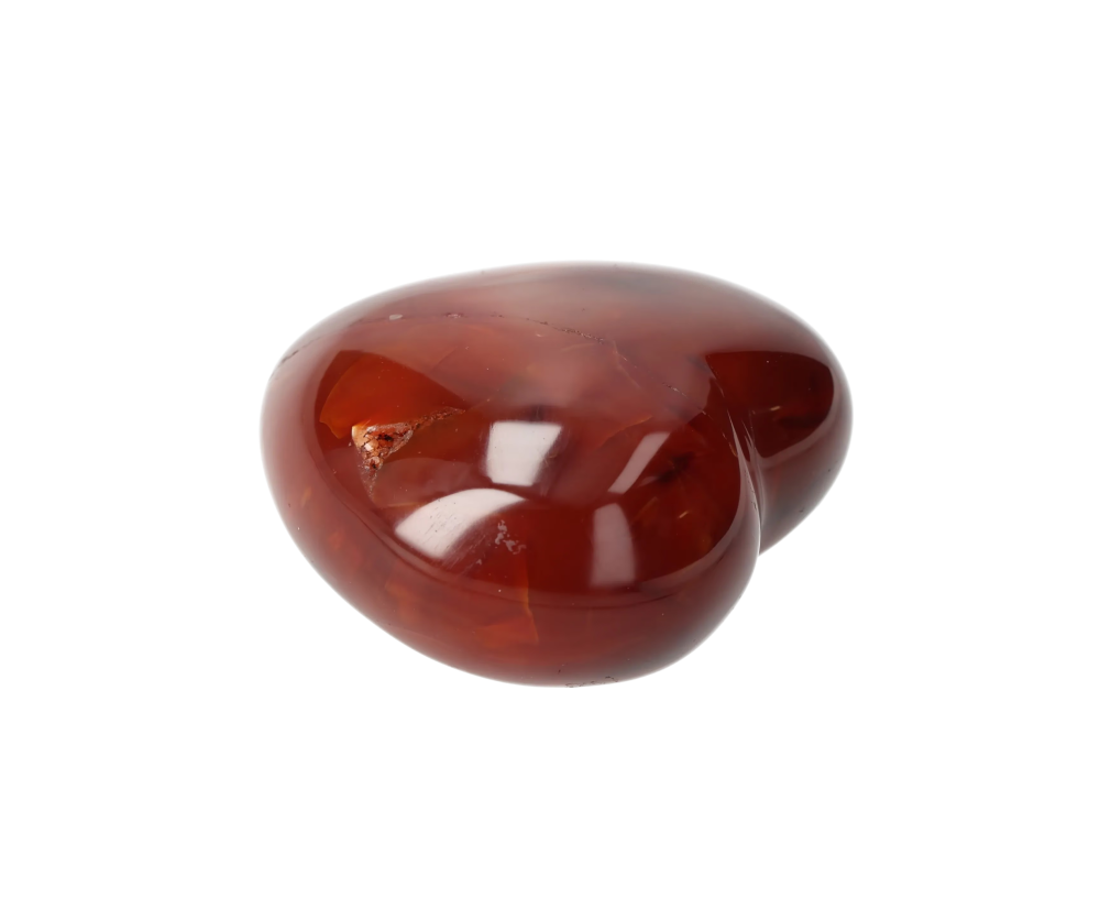 orbitvu|type:image2d