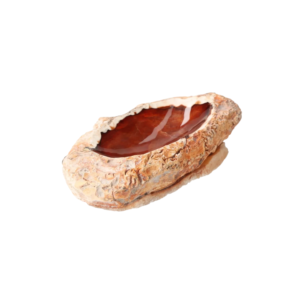 orbitvu|type:image2d