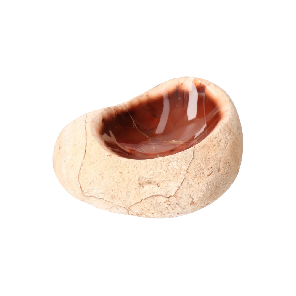 orbitvu|type:image2d