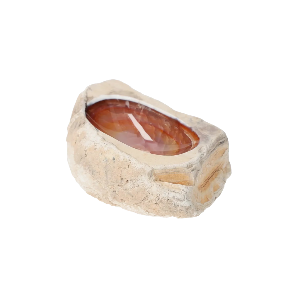 orbitvu|type:image2d
