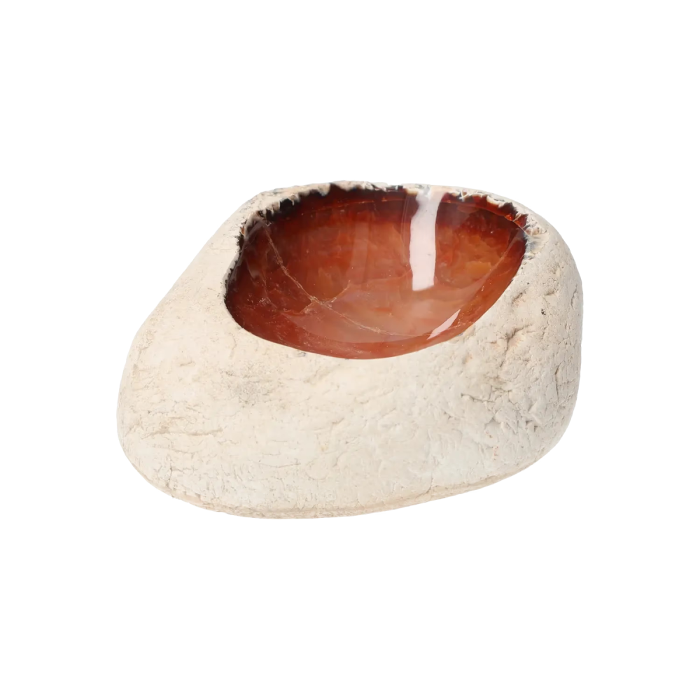 orbitvu|type:image2d