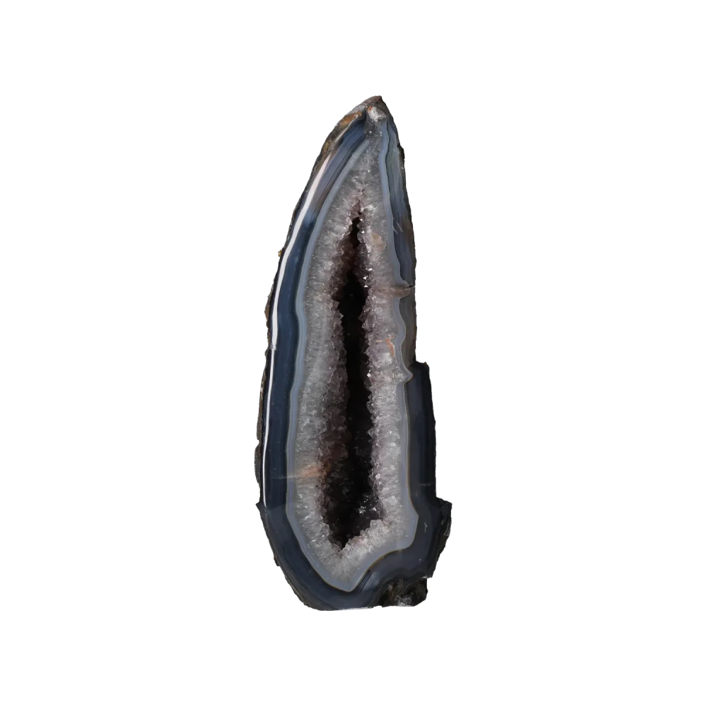 orbitvu|type:image2d