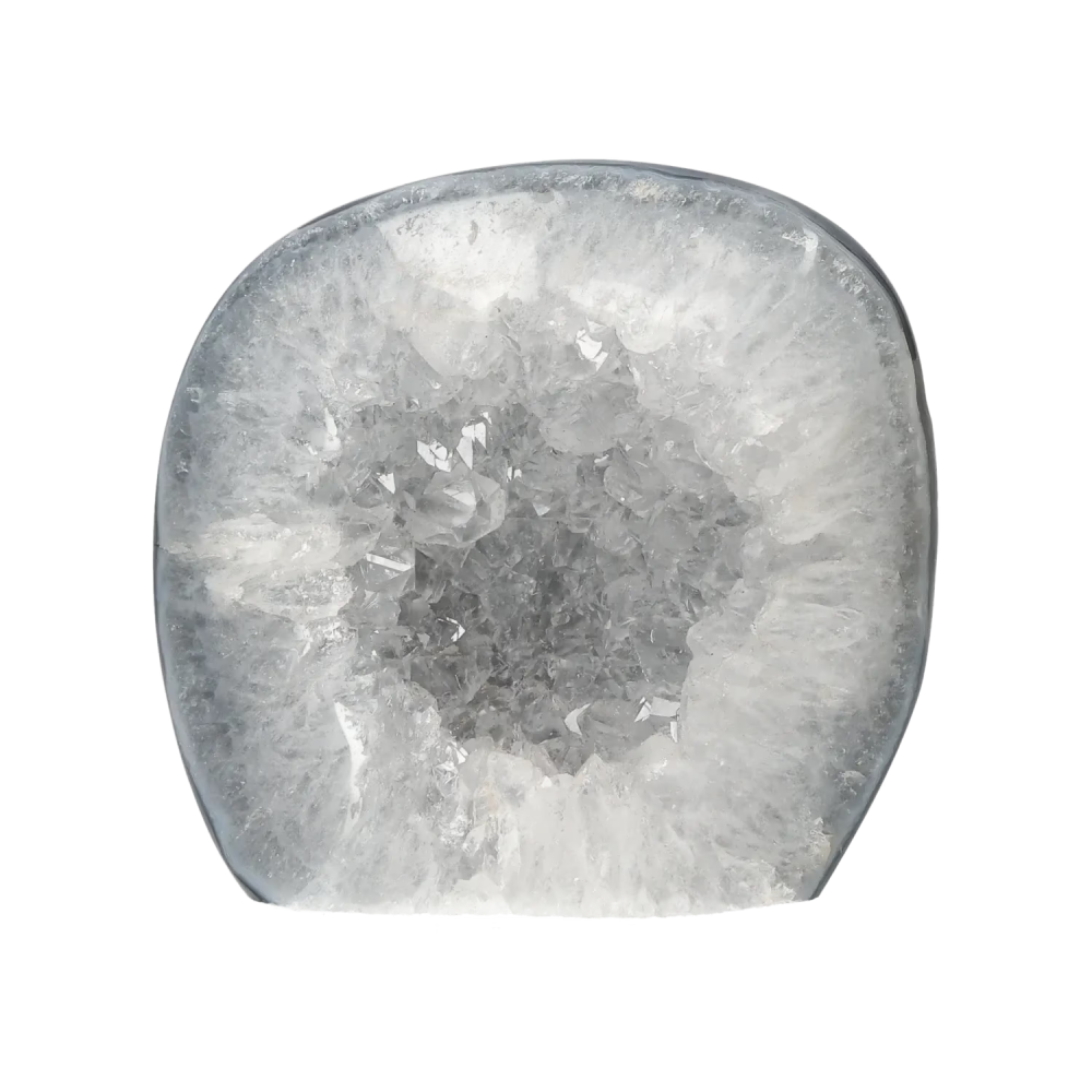 orbitvu|type:image2d