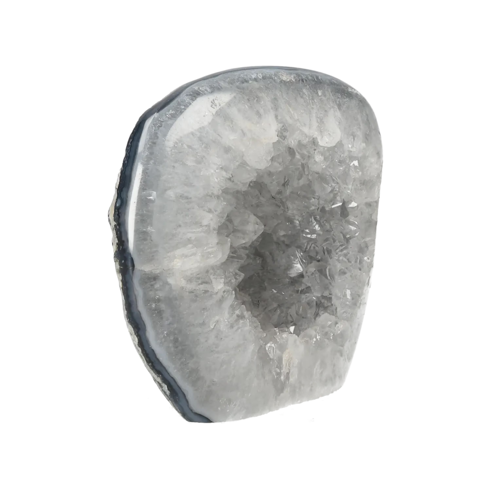 orbitvu|type:image2d