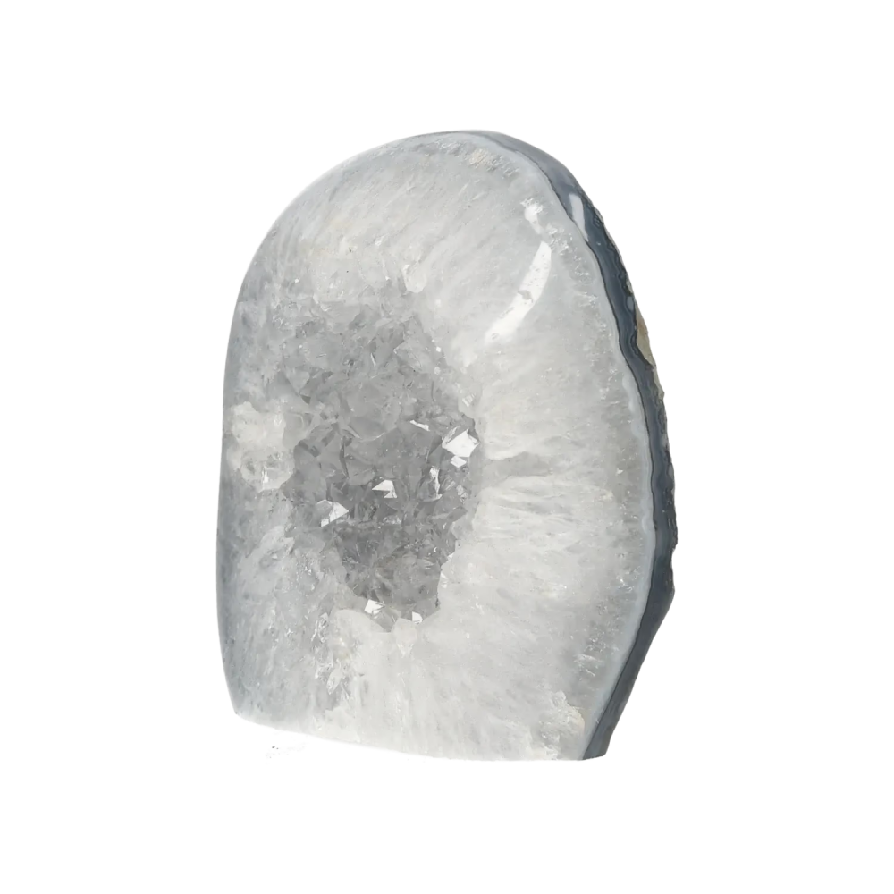 orbitvu|type:image2d