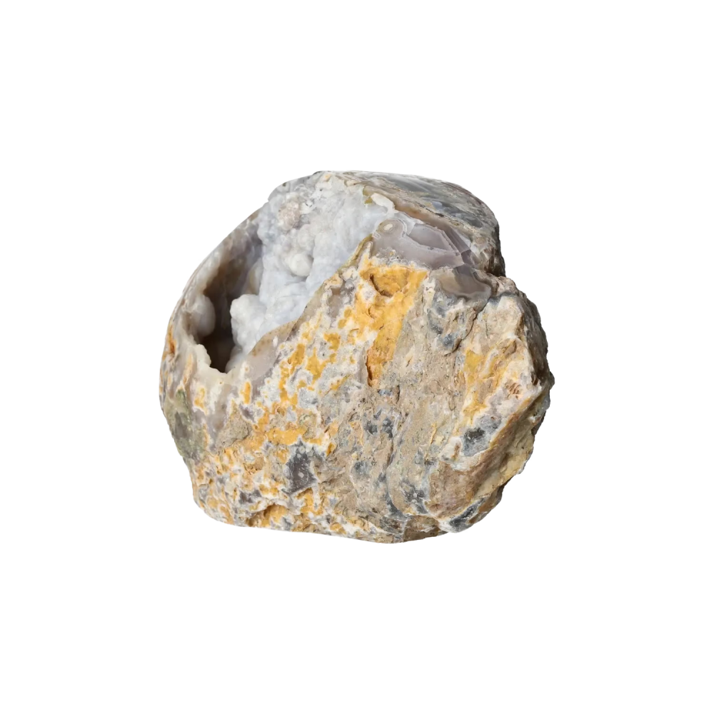 orbitvu|type:image2d