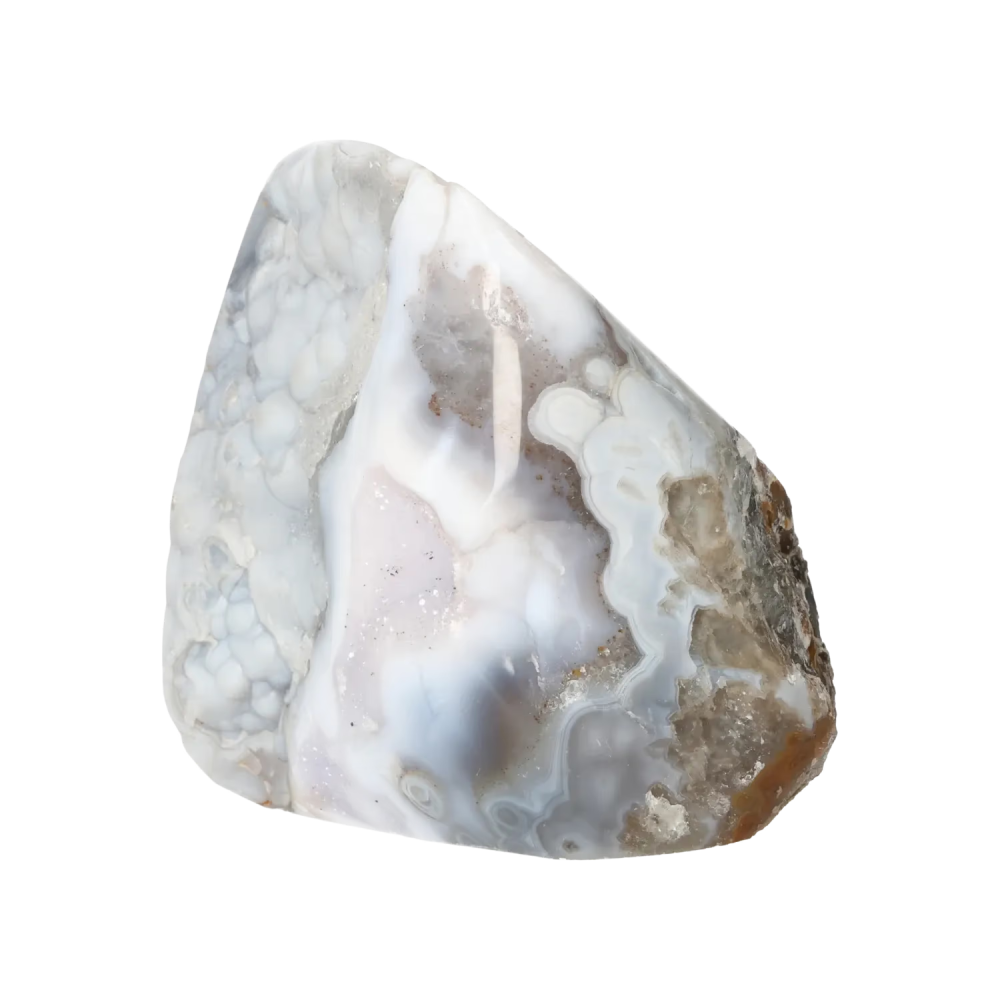 orbitvu|type:image2d