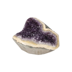 orbitvu|type:image2d