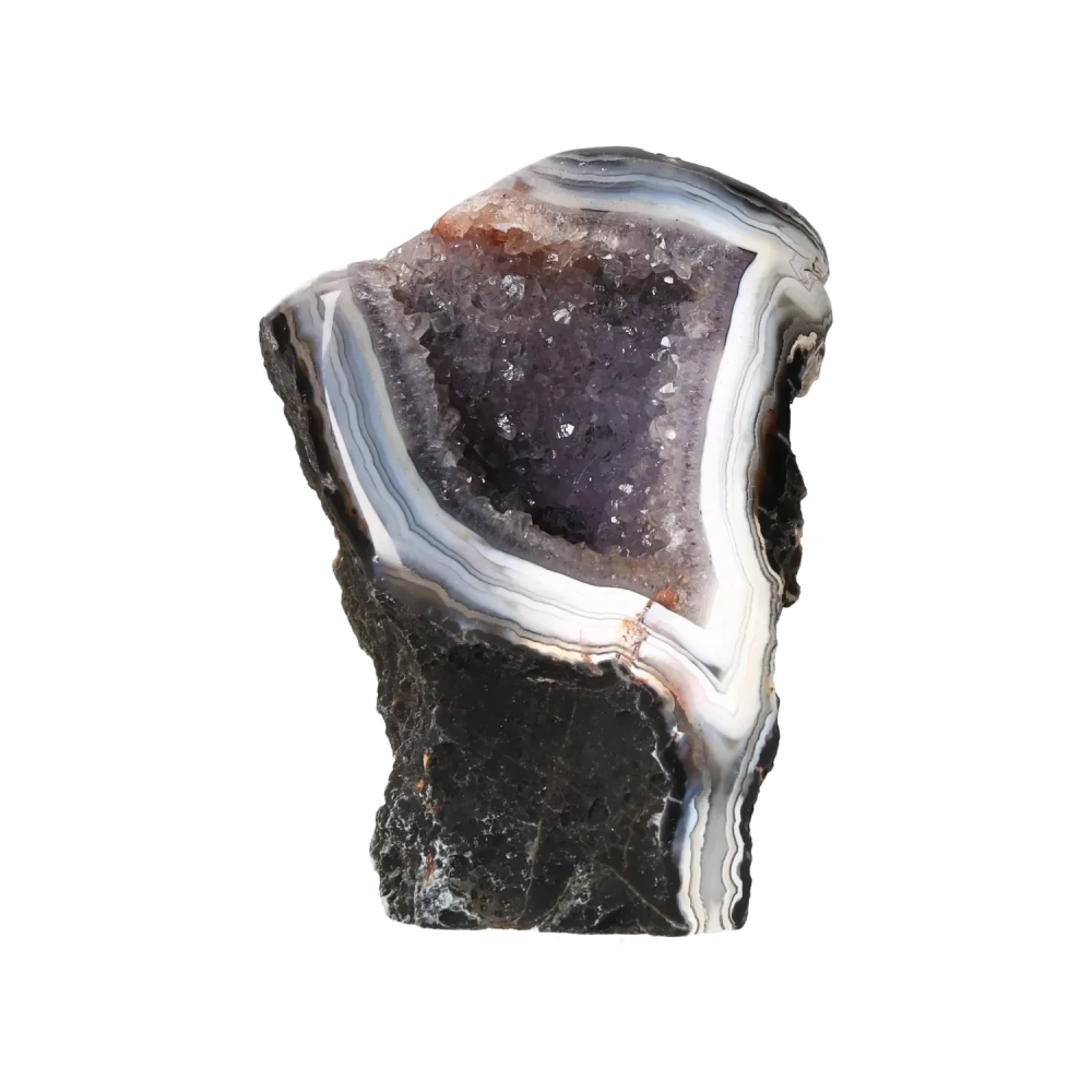 orbitvu|type:image2d