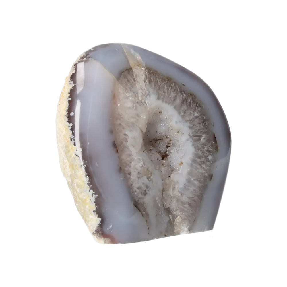 orbitvu|type:image2d