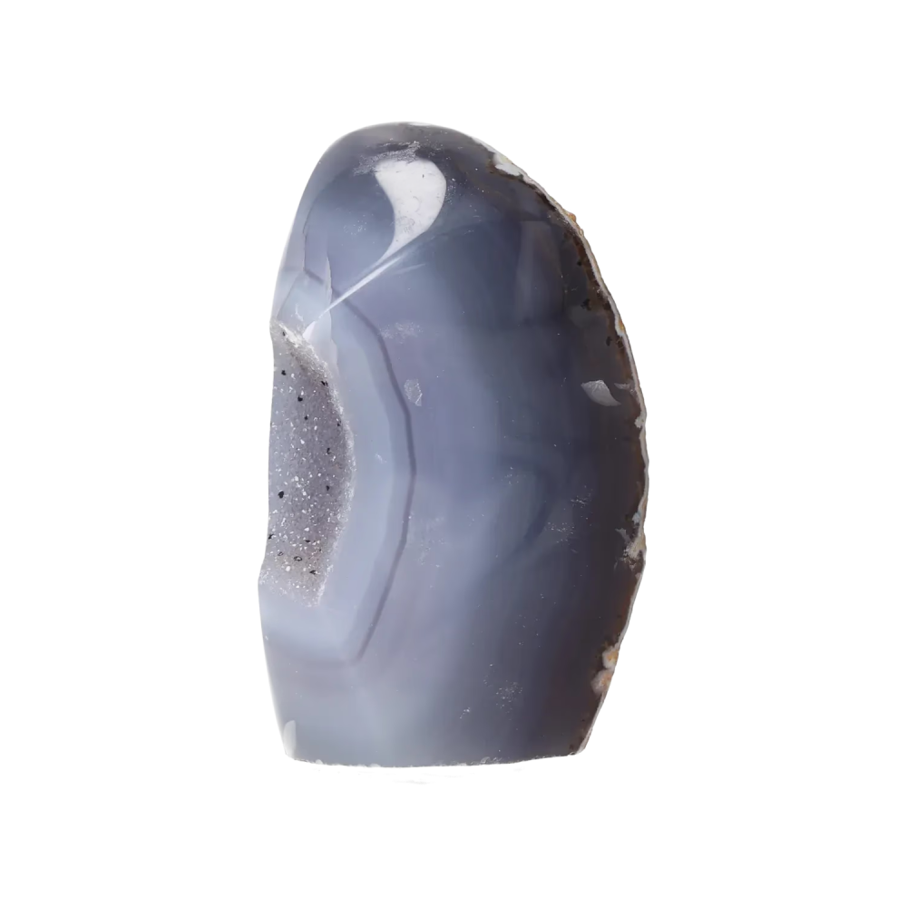 orbitvu|type:image2d