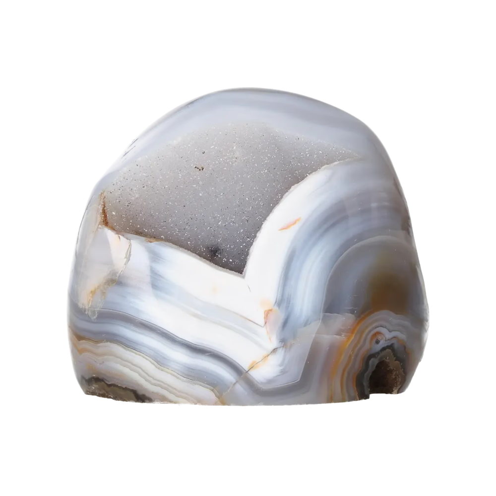 orbitvu|type:image2d
