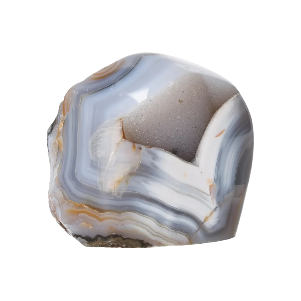 orbitvu|type:image2d