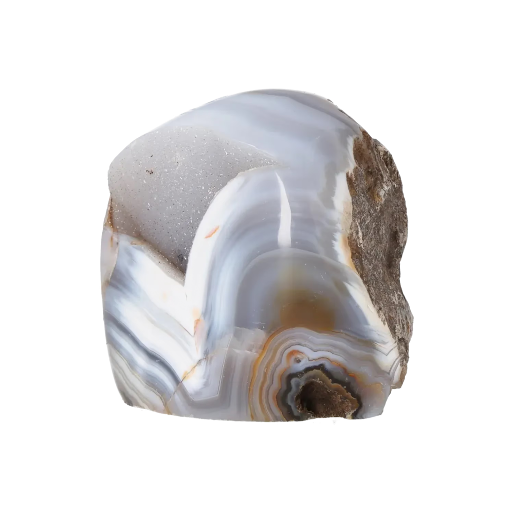 orbitvu|type:image2d
