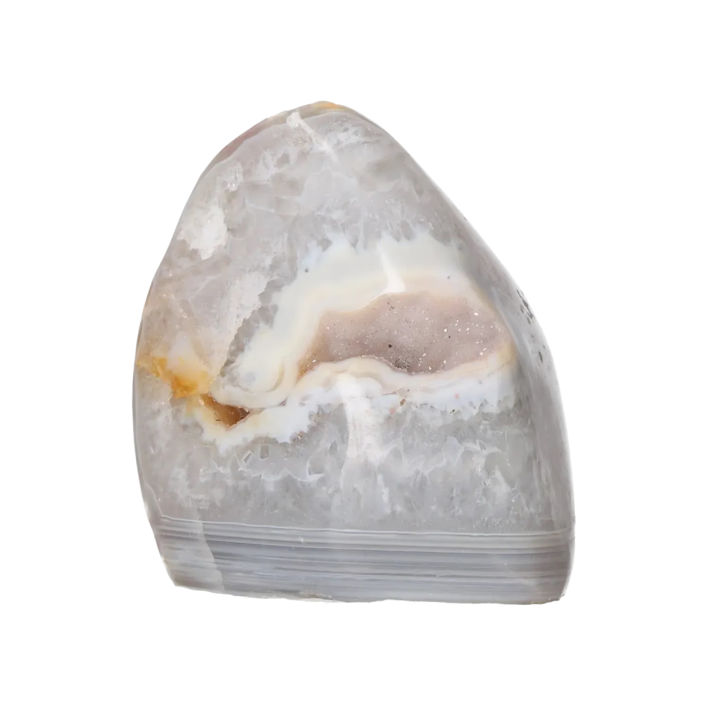 orbitvu|type:image2d