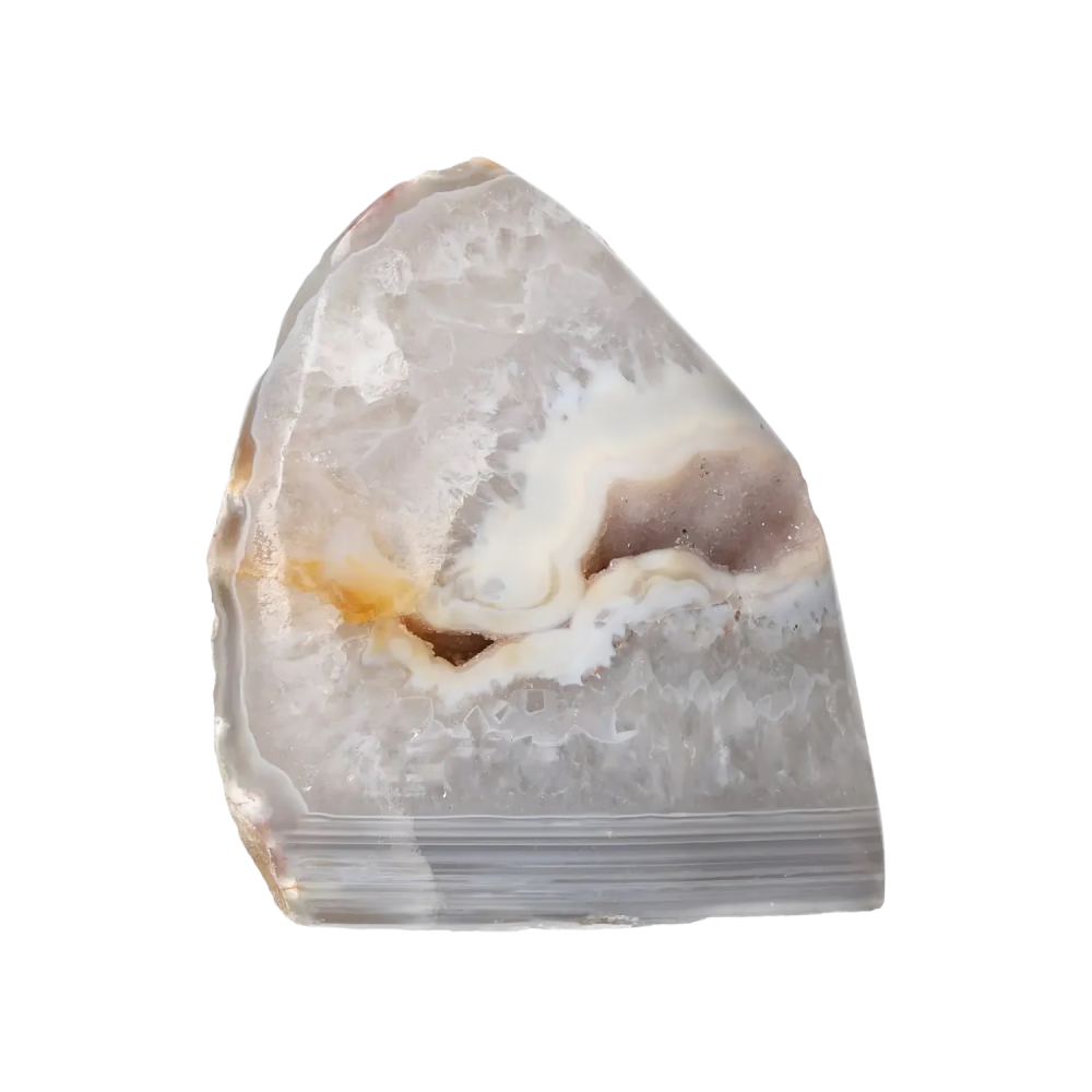 orbitvu|type:image2d