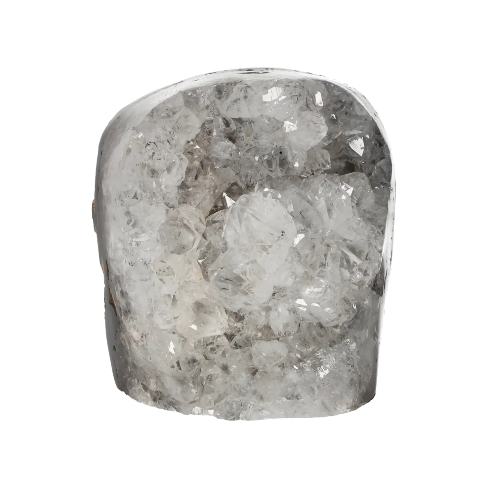 orbitvu|type:image2d