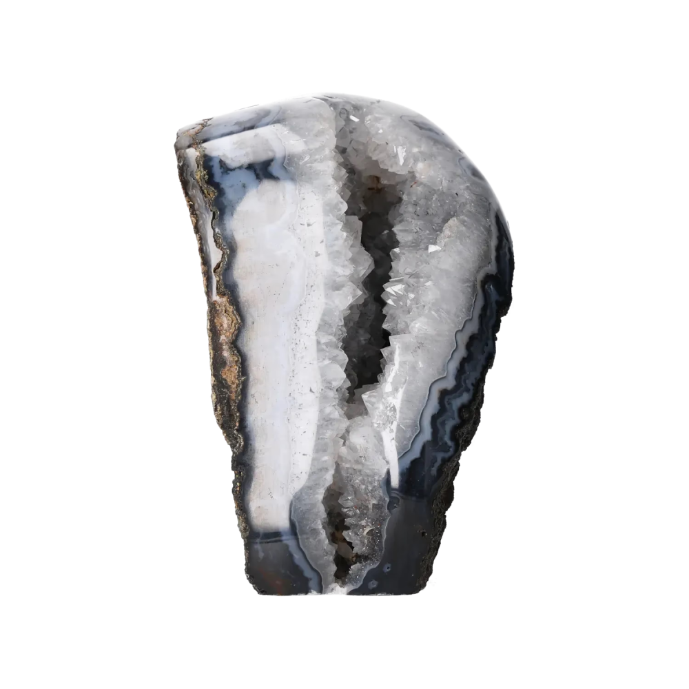 orbitvu|type:image2d