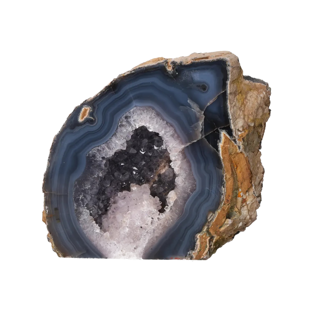 orbitvu|type:image2d