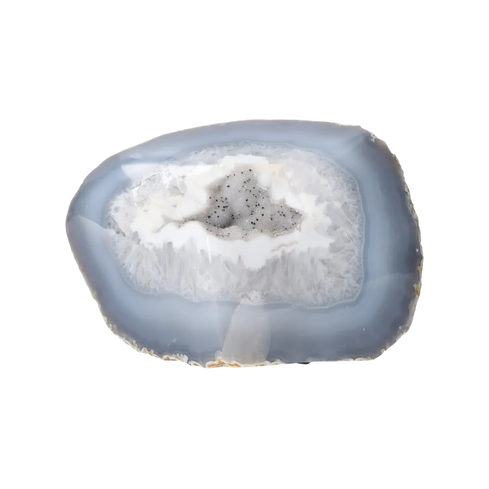 orbitvu|type:image2d