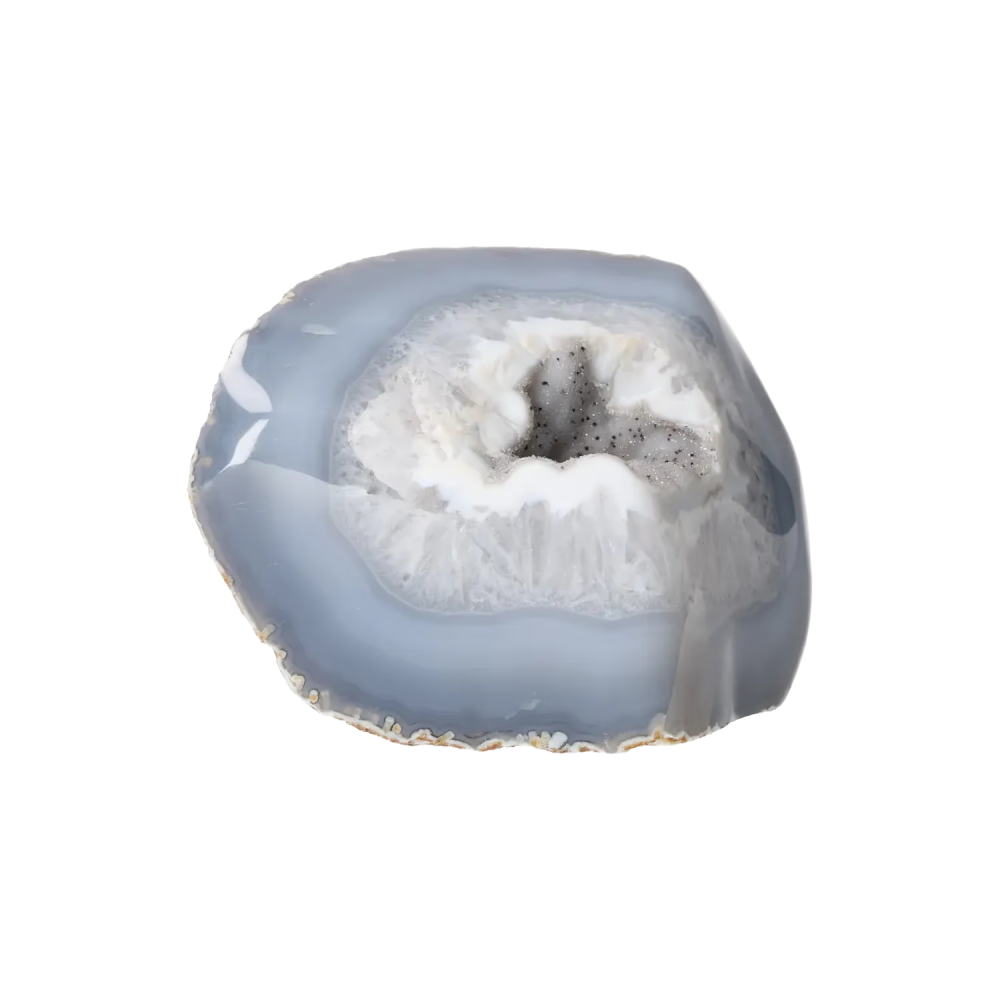 orbitvu|type:image2d